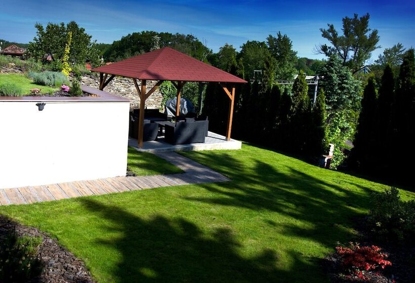 酒店 Pension Falconi