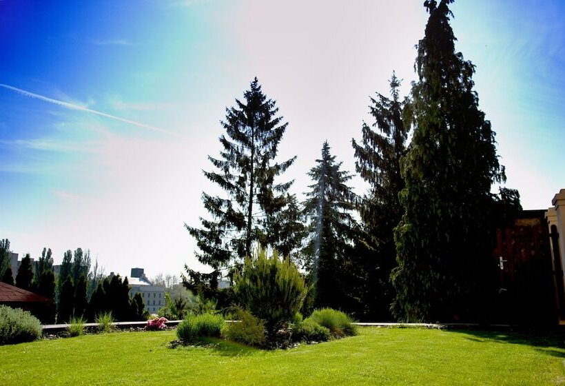 酒店 Pension Falconi