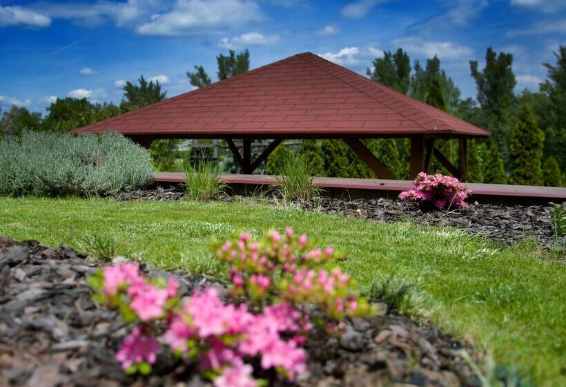 هتل Pension Falconi