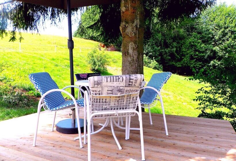 Отель Penzion Bor