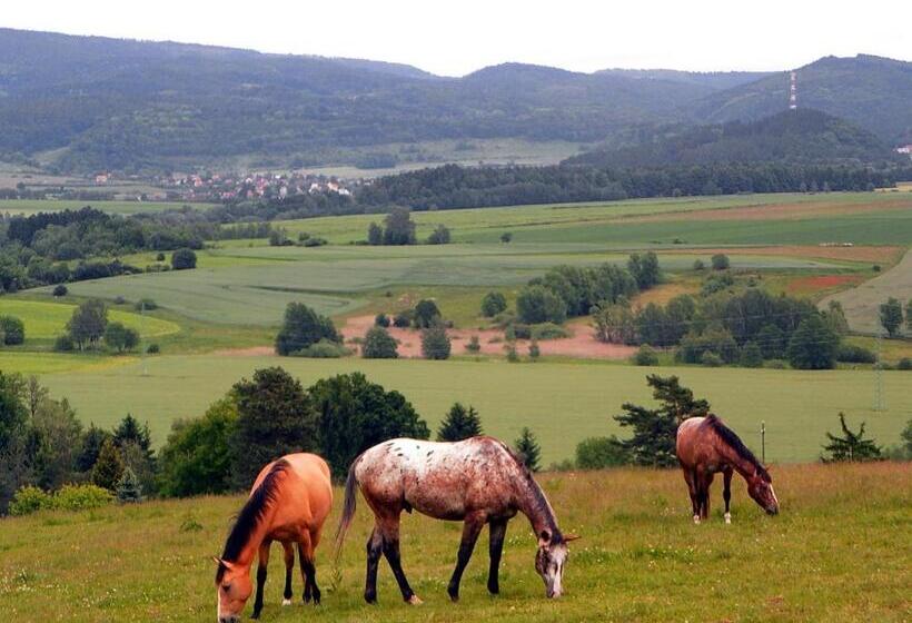 Отель Penzion Bor