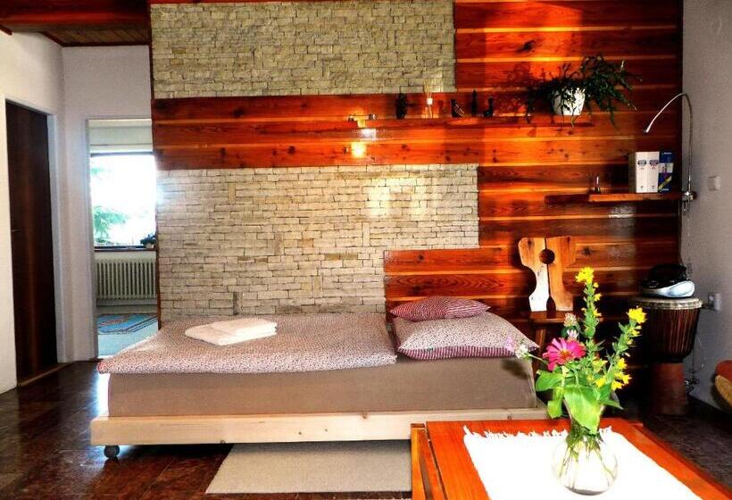 Отель Penzion Bor