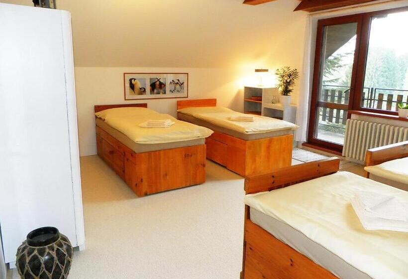 Отель Penzion Bor