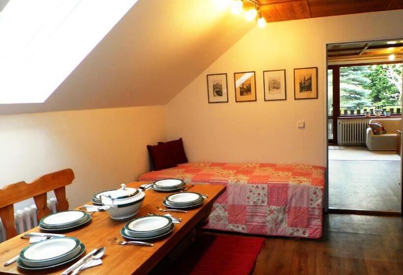 Отель Penzion Bor