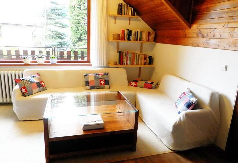 Отель Penzion Bor