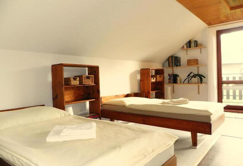 Отель Penzion Bor