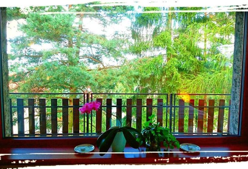 Отель Penzion Bor