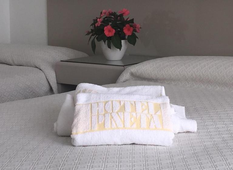 בית מלון כפרי Pineta