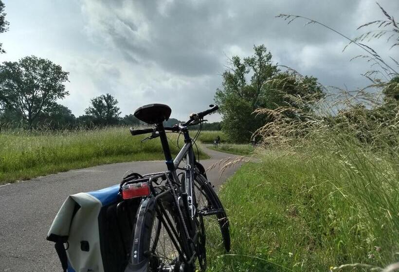 בית מלון כפרי Restaurant Elsterblick