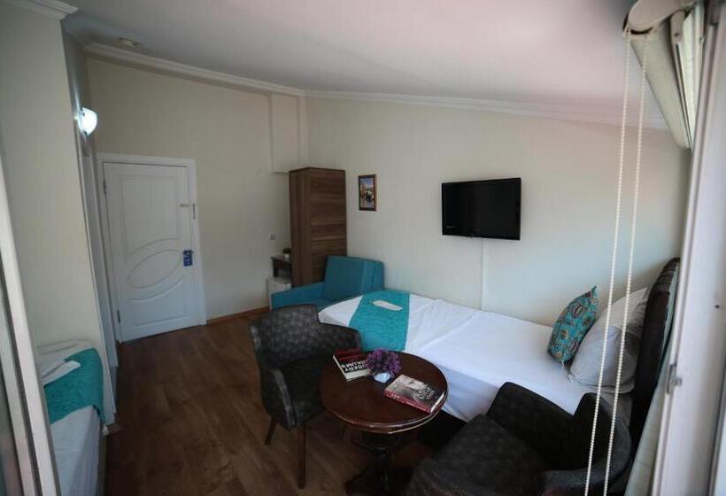 ホテル Taksim Trust