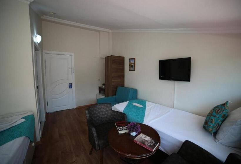 ホテル Taksim Trust