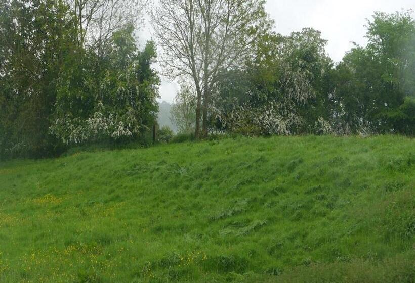 ホテル 3 Millstones Inn