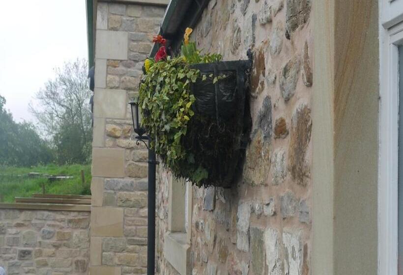 Отель 3 Millstones Inn