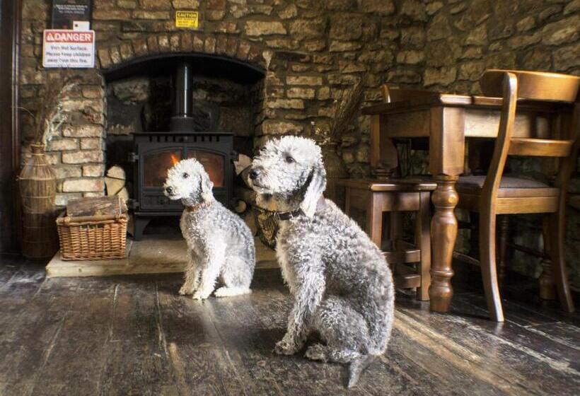 Отель The Royal Oak