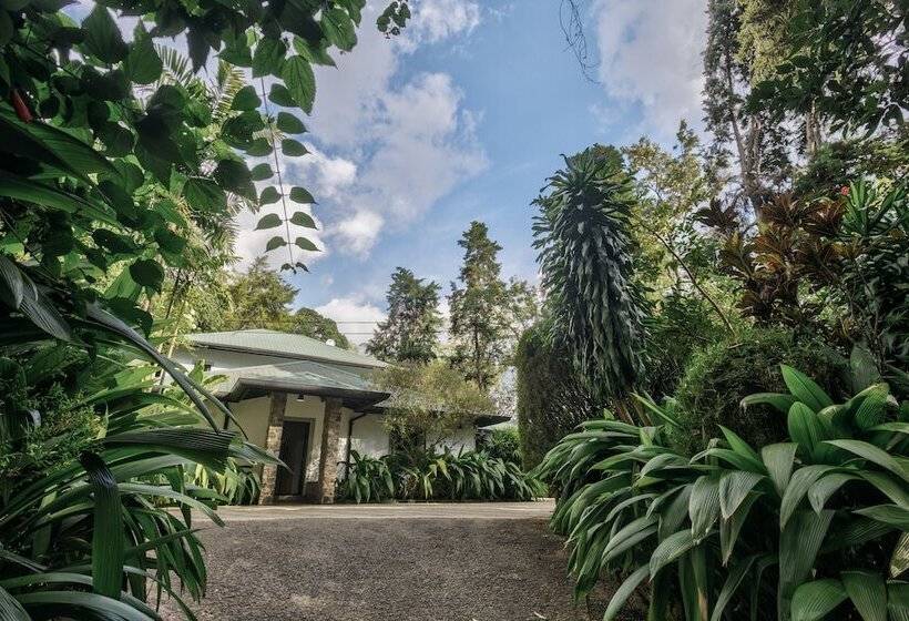 Отель Villa Republic Bandarawela