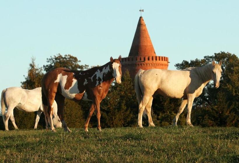 Отель Zur Burg Gmbh