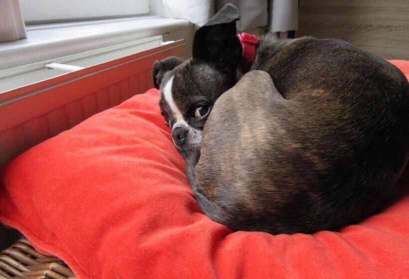 住宿加早餐  Middleton House