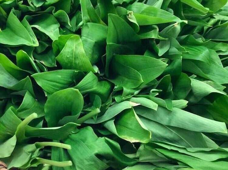 ホテル Restaurant Peifer