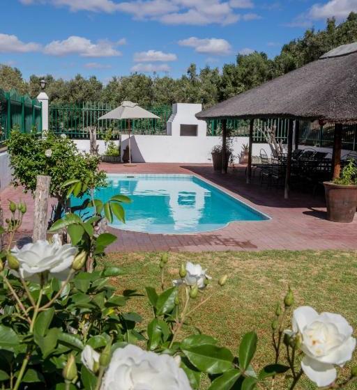 Olive Grove Guest Farm