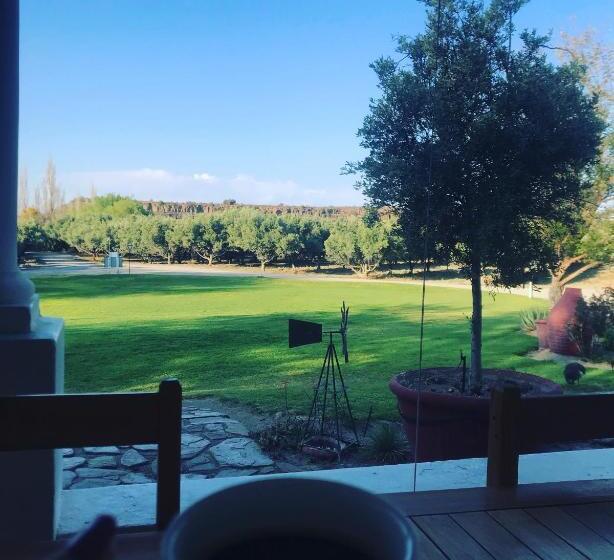 Olive Grove Guest Farm