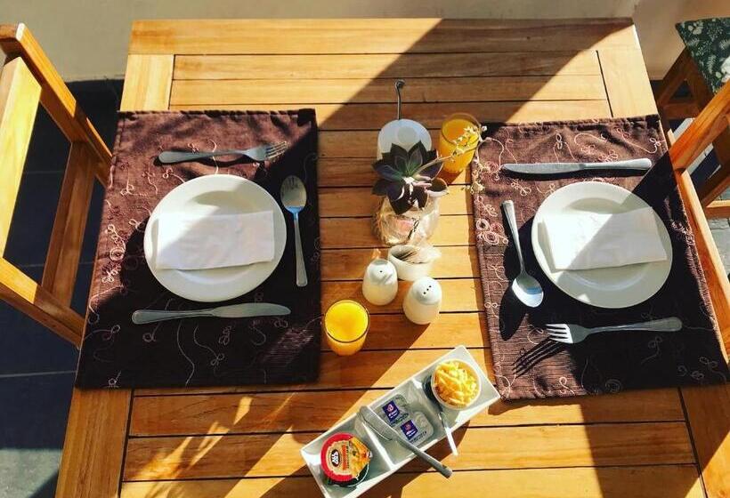 Olive Grove Guest Farm