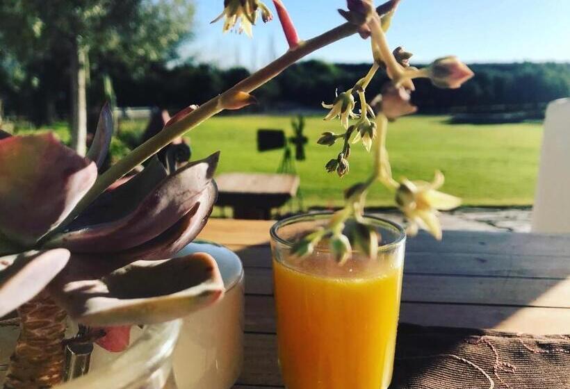 Olive Grove Guest Farm