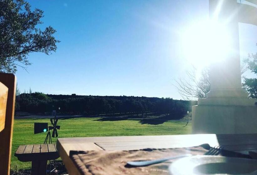 Olive Grove Guest Farm