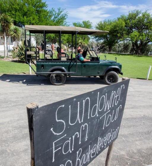 Olive Grove Guest Farm