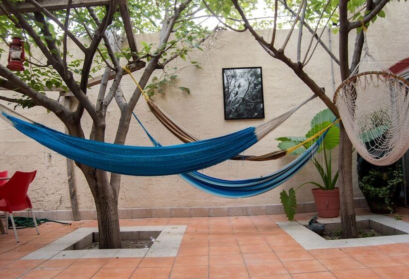 Paqui B&b By Rotamundos