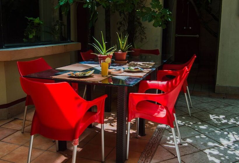 Paqui B&b By Rotamundos