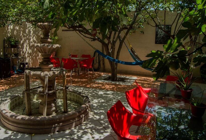 Paqui B&b By Rotamundos