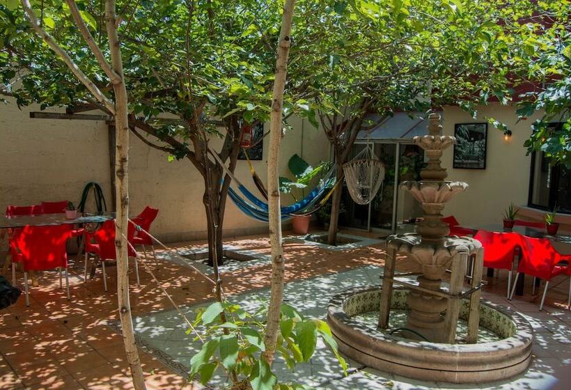 Paqui B&b By Rotamundos