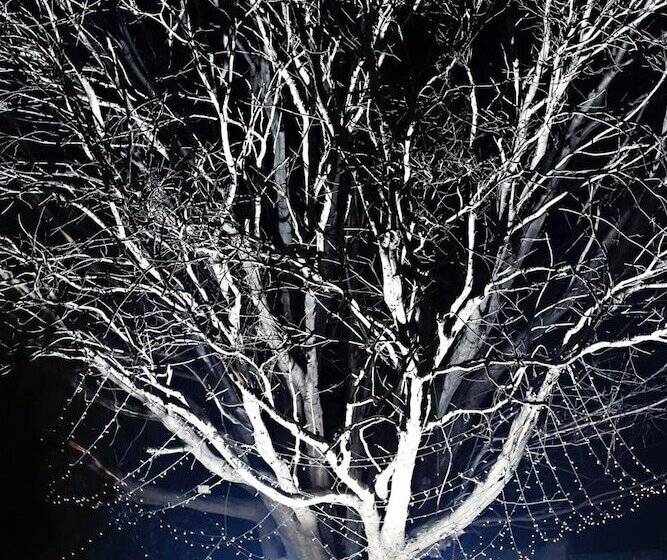 펜션 Accolades Boutique Venue