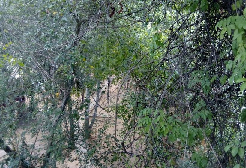 פנסיון Centauria City