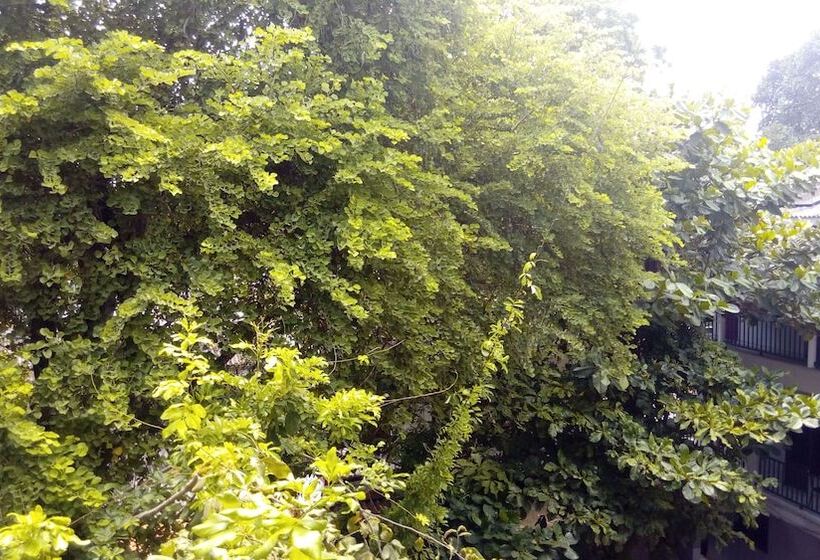 פנסיון Centauria City