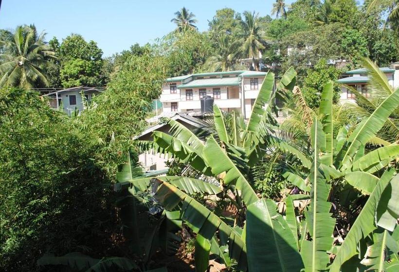 ペンション Evening Star Guest Inn