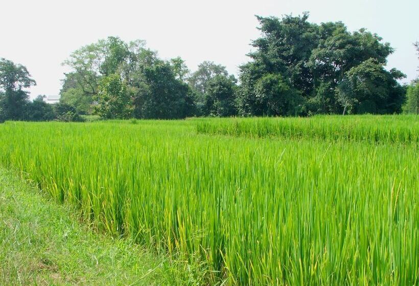 Пансион Good Morning Pai