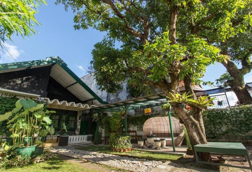 بنسيون Mango Tree Dipudjo Homestay
