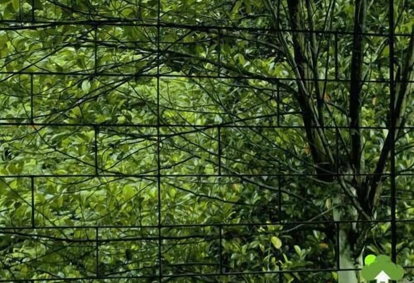 פנסיון Milano Grand New Rest House