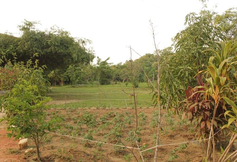 Пансион Sinhagiri Villa