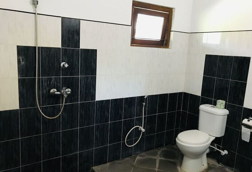 Пансион Sinhagiri Villa