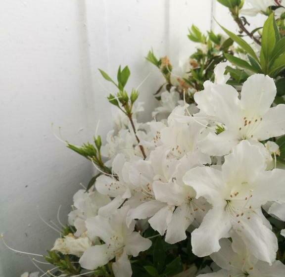 Rainbow Motel & Guest House