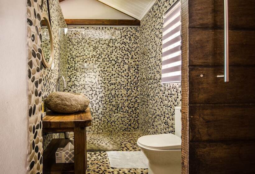 Reflections Guest Farm