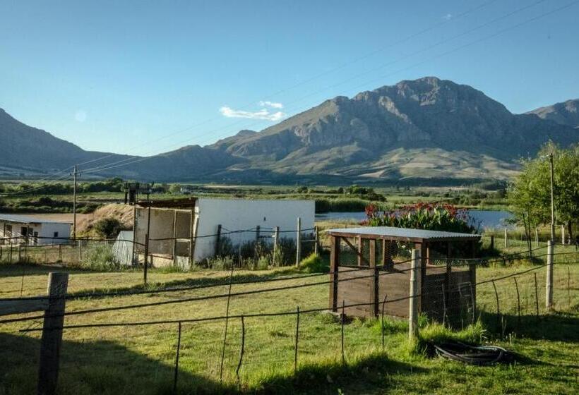 Reflections Guest Farm