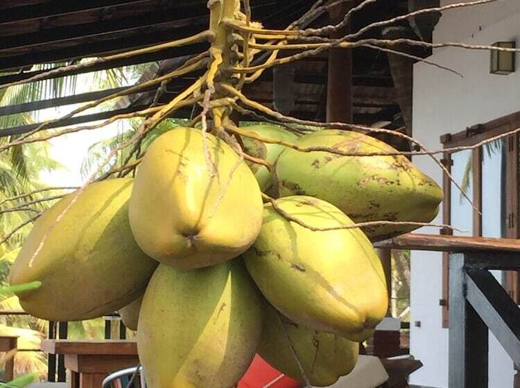 渡假胜地 36 Palms Boutique Retreat