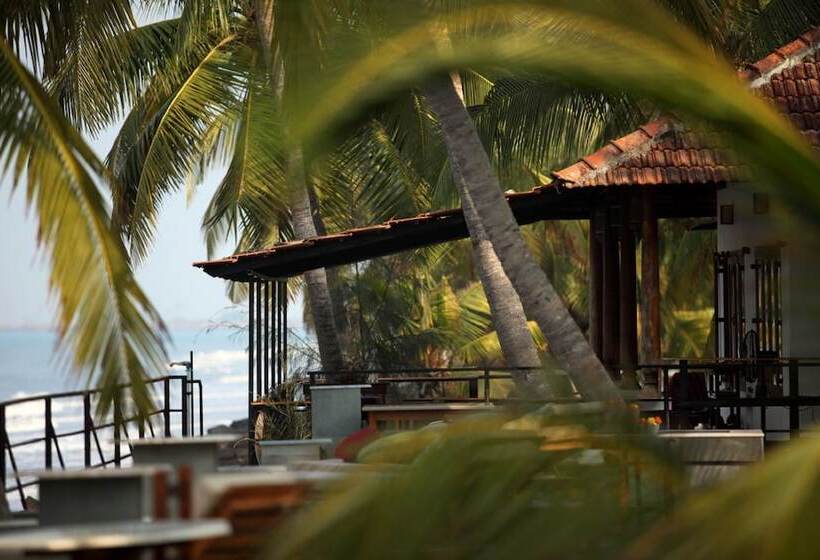 渡假胜地 36 Palms Boutique Retreat