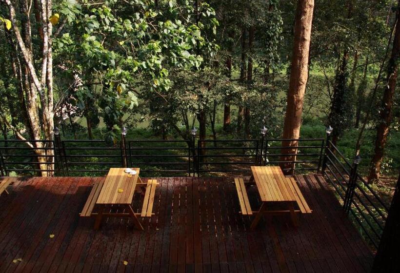 The Ibnii   Eco Luxury Resort