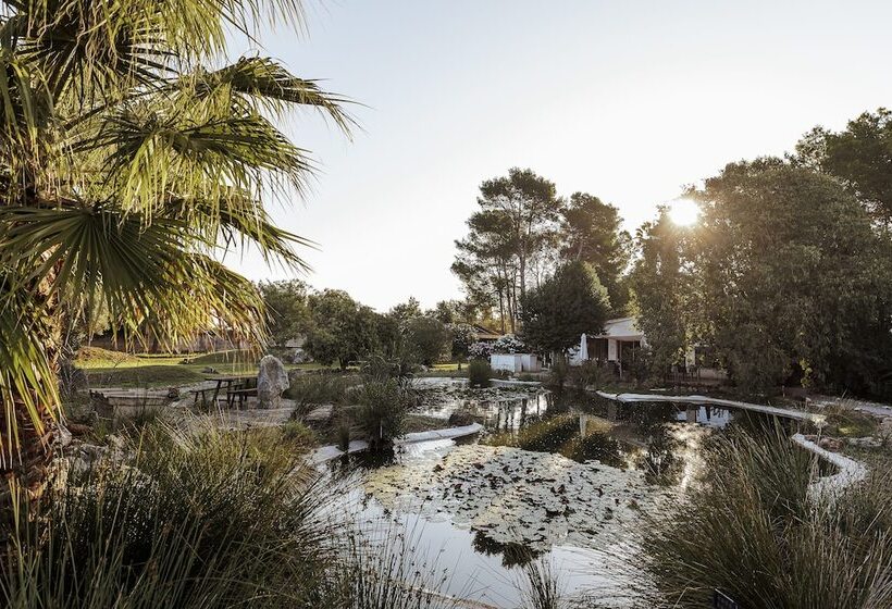 Weingut & Landhotel Can Davero