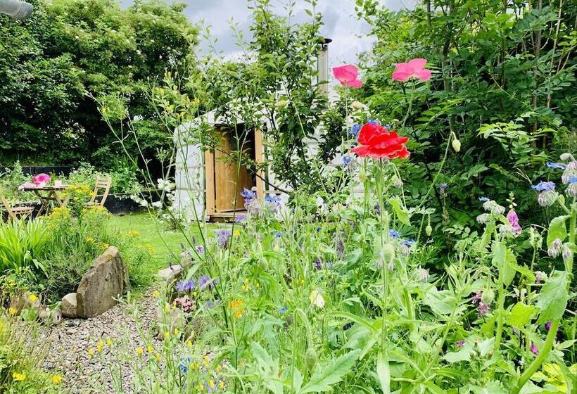 مبيت وإفطار The Croft Place Of Architectual Interest