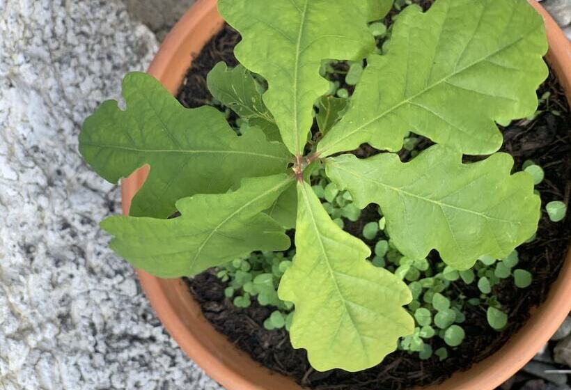 مبيت وإفطار The Croft Place Of Architectual Interest